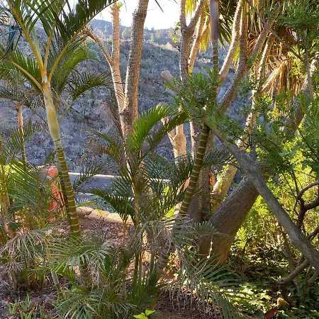 Semesterbostad Casa La Paloma El Jaral